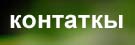 контакты